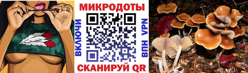 Купить Усть-Катав Галлюциногенные грибы мицелий